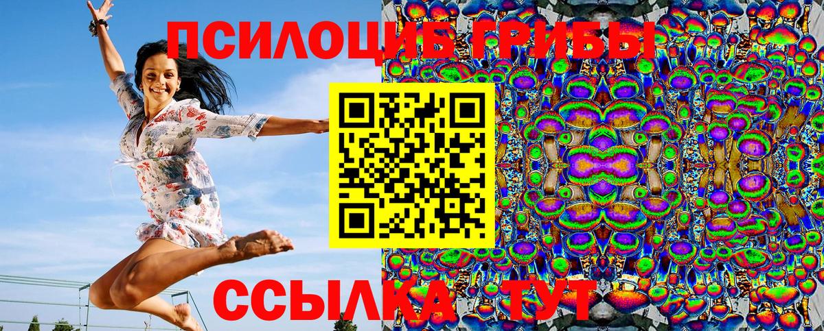 Псилоцибиновые грибы GOLDEN TEACHER Рыбинск